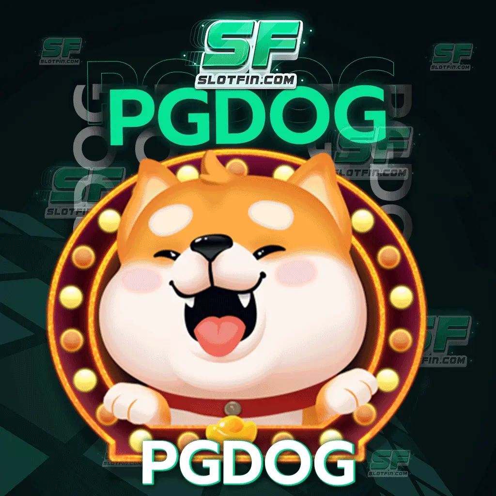 สิทธิพิเศษจะมีการรีทุกวัน pgdog เข้าสู่ระบบก่อนก็ปังได้ก่อนใคร